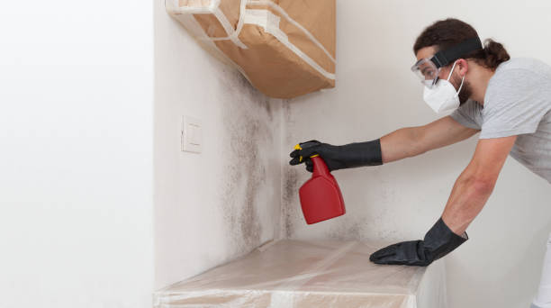 Professional Crawl Space Mold Removal technician working in Ashland, OR