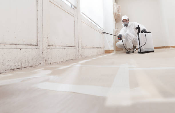 24/7 Emergency Crawl Space Mold Removal experts in Ashland, OR